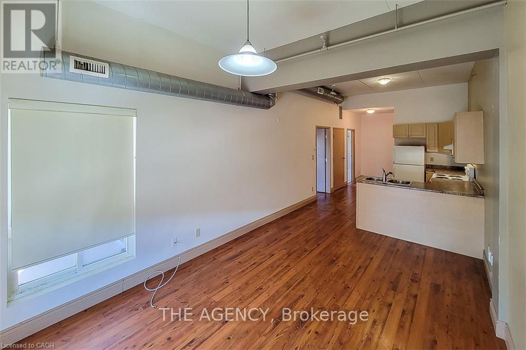 201 - 150 Colborne Street, Brantford, Ontario  N3G 2T6 - Photo 3 - X13112110