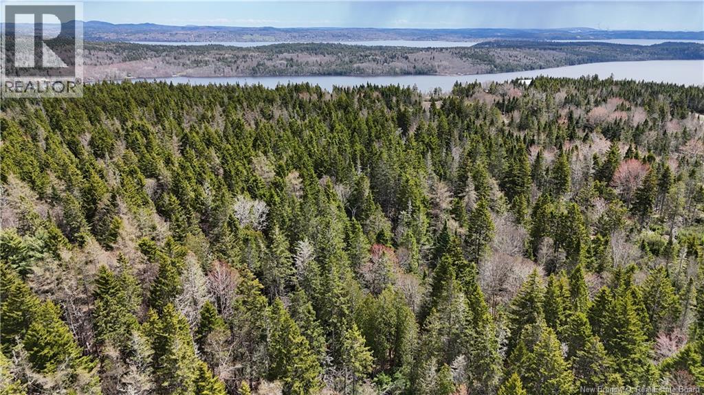 Route 845, Clifton Royal, New Brunswick  E5S 2H3 - Photo 10 - NB139242
