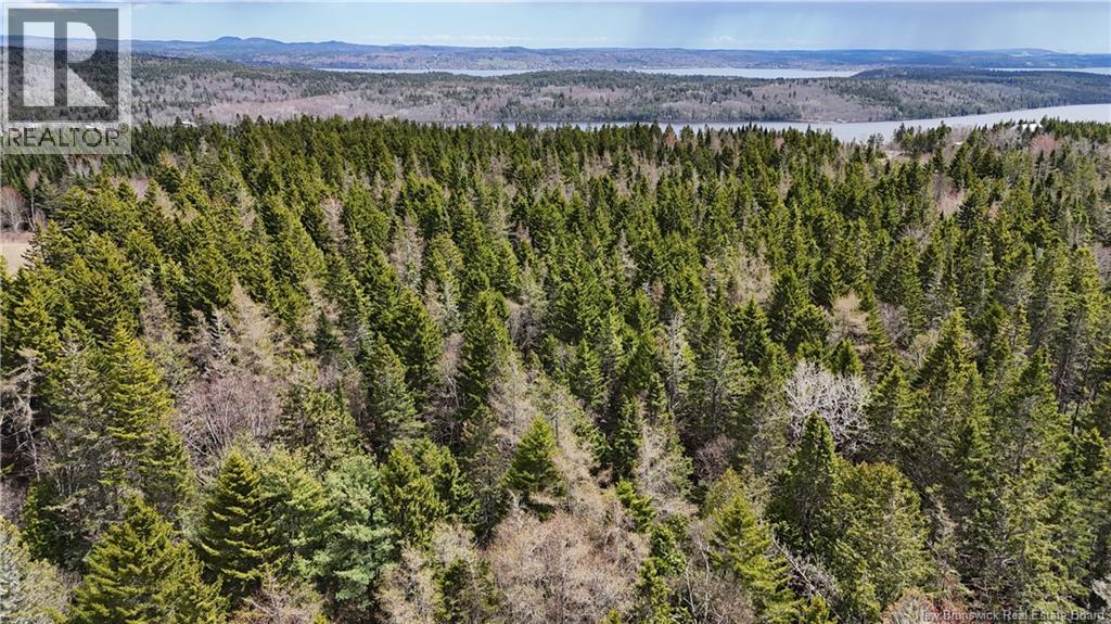Route 845, Clifton Royal, New Brunswick  E5S 2H3 - Photo 11 - NB139242