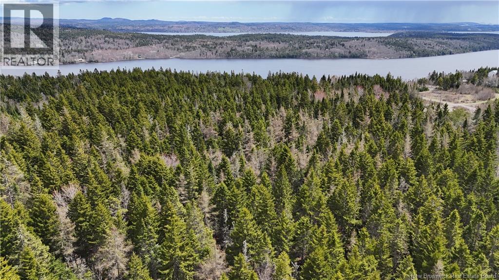 Route 845, Clifton Royal, New Brunswick  E5S 2H3 - Photo 12 - NB139242
