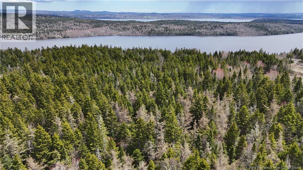 Route 845, Clifton Royal, New Brunswick  E5S 2H3 - Photo 13 - NB139242