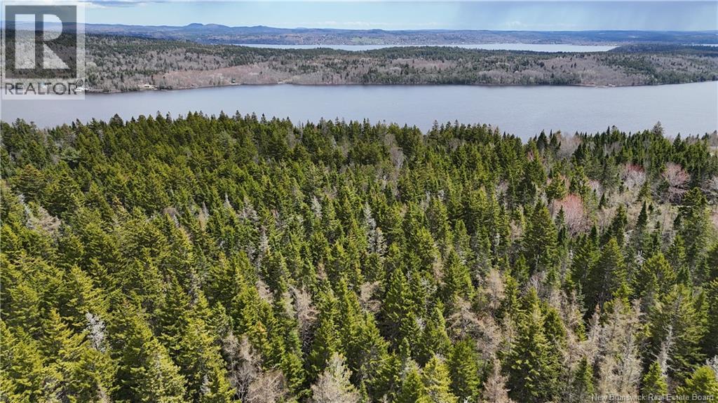 Route 845, Clifton Royal, New Brunswick  E5S 2H3 - Photo 14 - NB139242