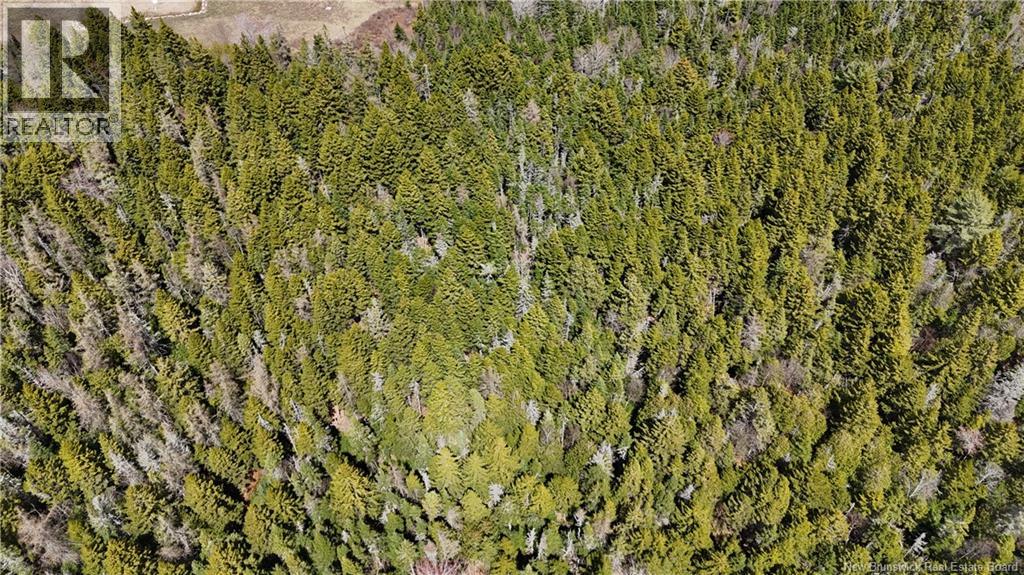Route 845, Clifton Royal, New Brunswick  E5S 2H3 - Photo 15 - NB139242