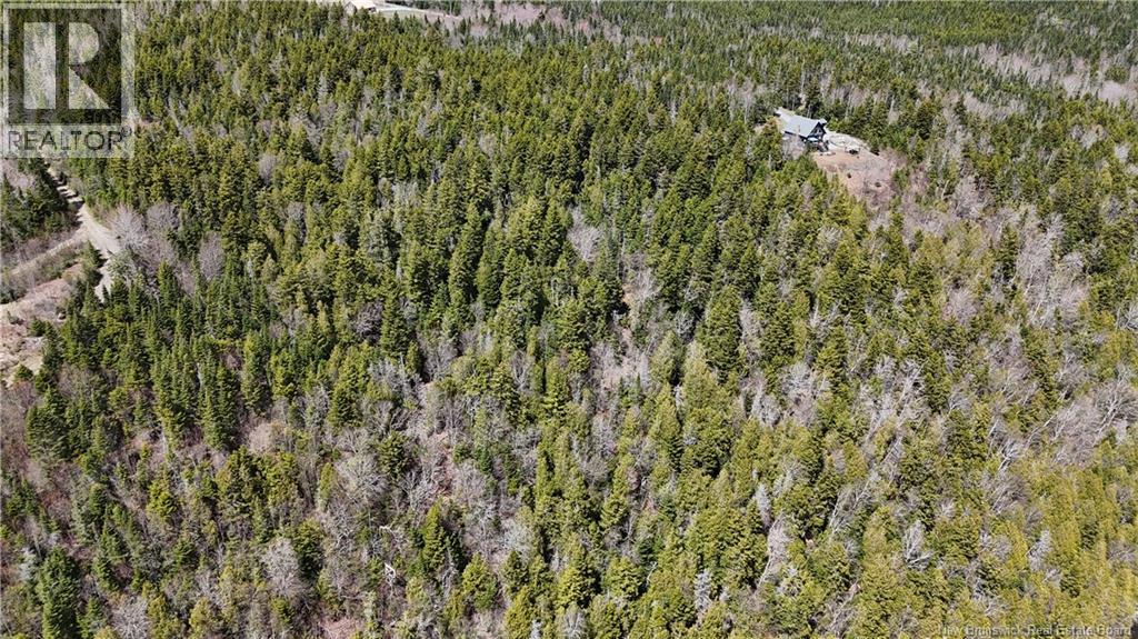 Route 845, Clifton Royal, New Brunswick  E5S 2H3 - Photo 2 - NB139242
