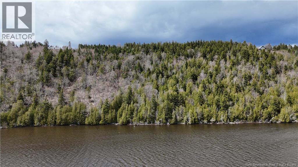 Route 845, Clifton Royal, New Brunswick  E5S 2H3 - Photo 3 - NB139242