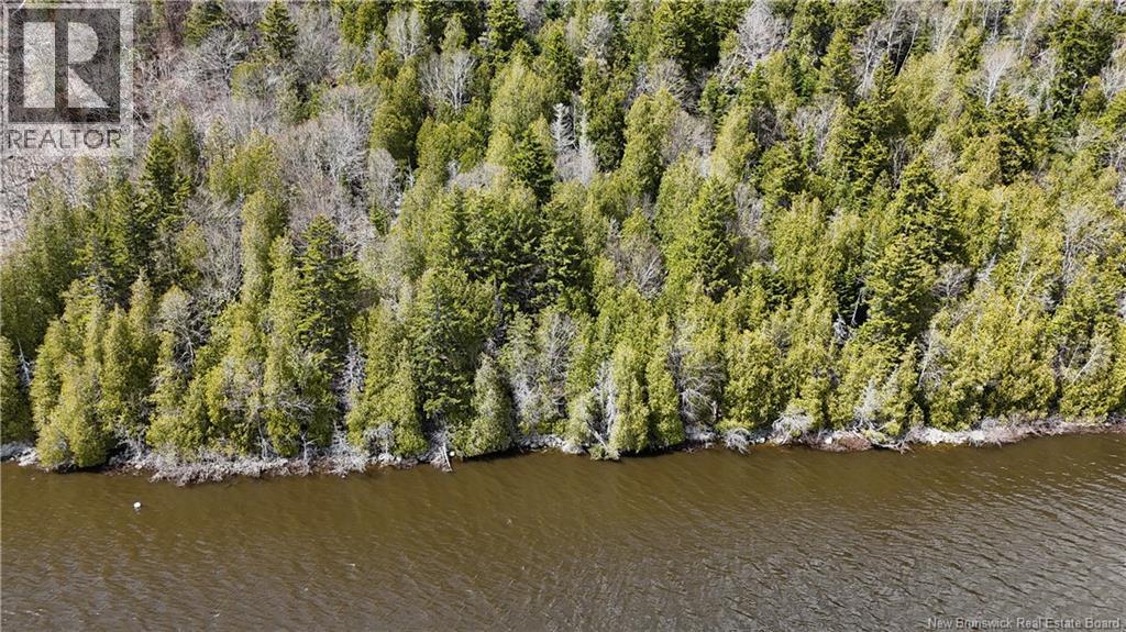 Route 845, Clifton Royal, New Brunswick  E5S 2H3 - Photo 6 - NB139242