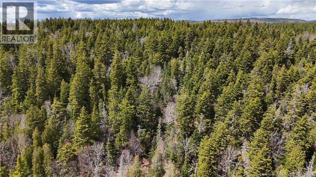 Route 845, Clifton Royal, New Brunswick  E5S 2H3 - Photo 7 - NB139242