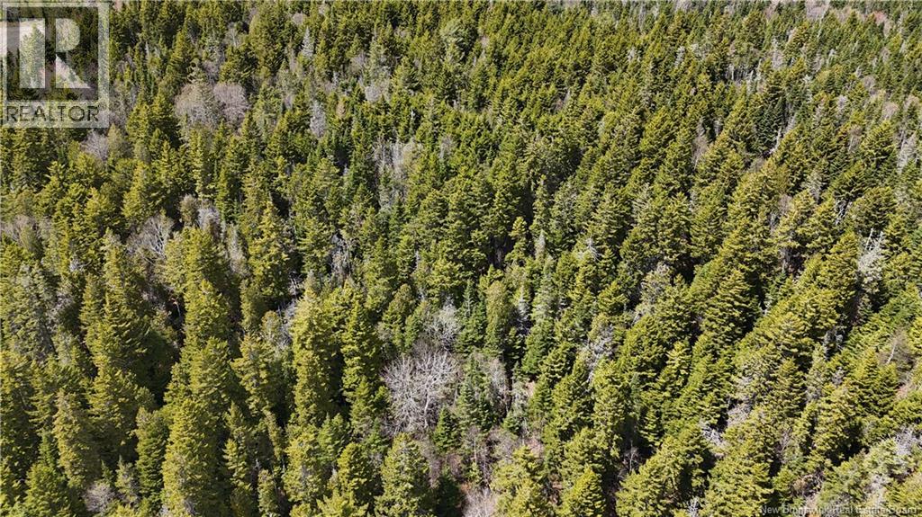 Route 845, Clifton Royal, New Brunswick  E5S 2H3 - Photo 8 - NB139242