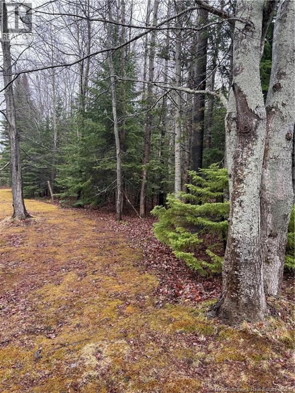 LOT 98-2 Dundas Road, Grande-Digue, New Brunswick