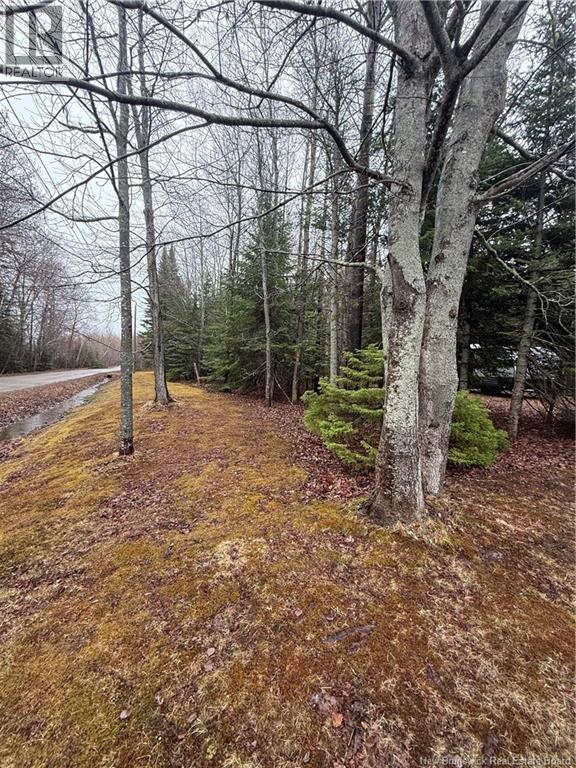 Lot 98-2 Dundas Road, Grande-Digue, New Brunswick  E4R 4L5 - Photo 2 - NB139207