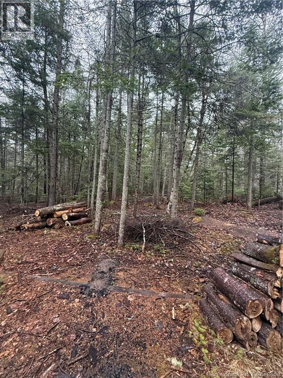 Lot 98-2 Dundas Road, Grande-Digue, New Brunswick  E4R 4L5 - Photo 4 - NB139207