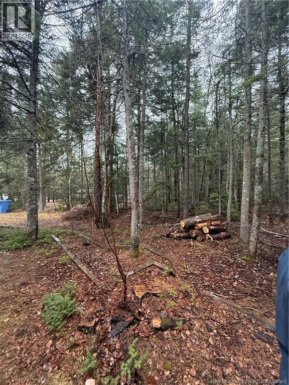 Lot 98-2 Dundas Road, Grande-Digue, New Brunswick  E4R 4L5 - Photo 6 - NB139207
