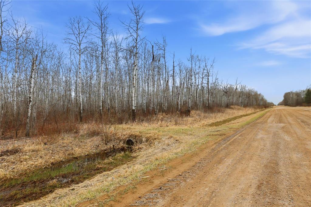1 39139 Road 41e Road, La Broquerie, Manitoba  R0A 0W0 - Photo 6 - 202610067