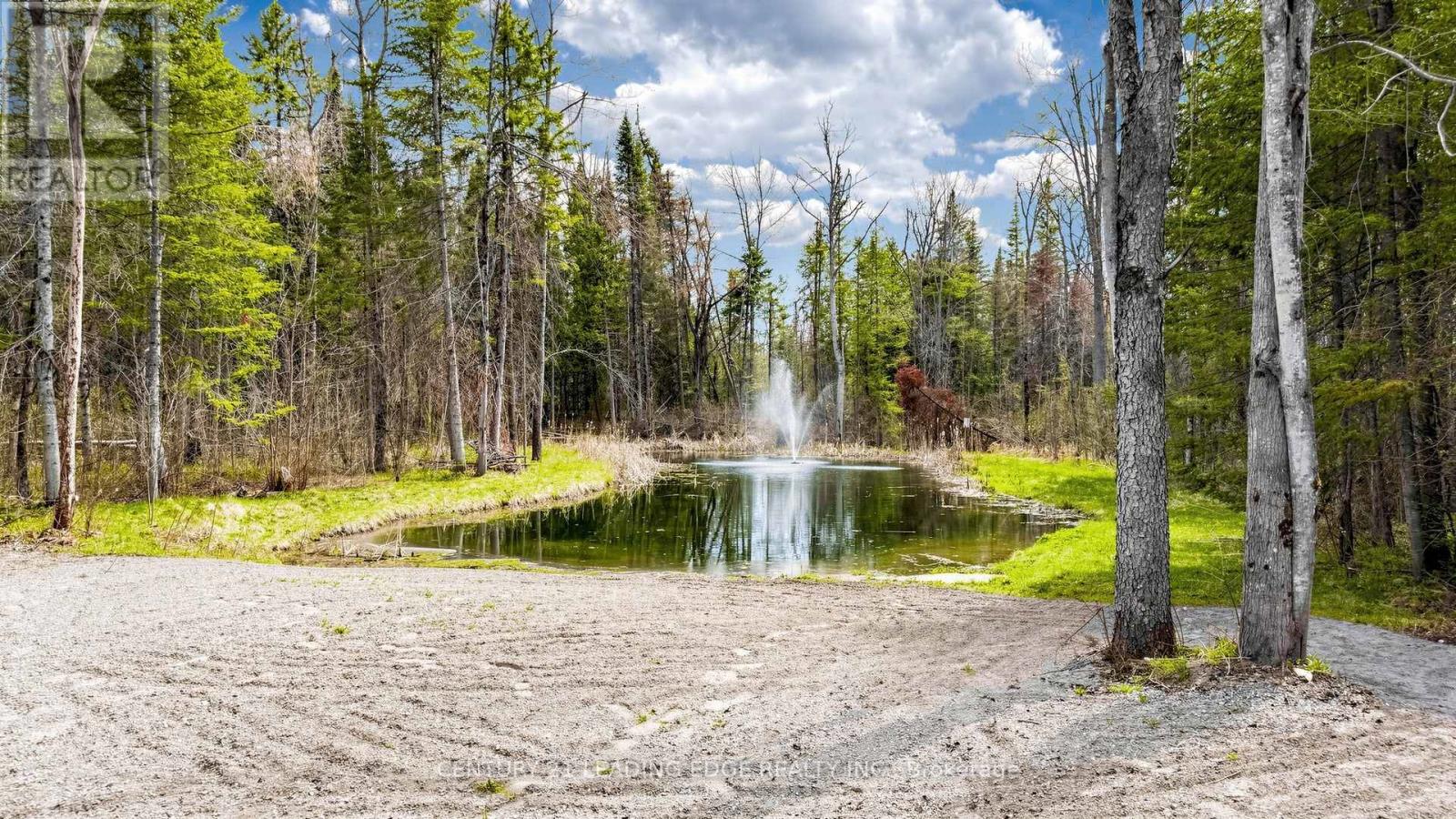 99 Kagawong Road, Kawartha Lakes, Ontario  K0M 1G0 - Photo 43 - X13112510