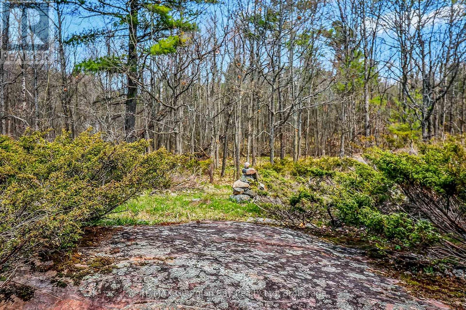 1432 Honey Harbour Road, Georgian Bay (Baxter), Ontario  L0K 1S0 - Photo 33 - X13112782