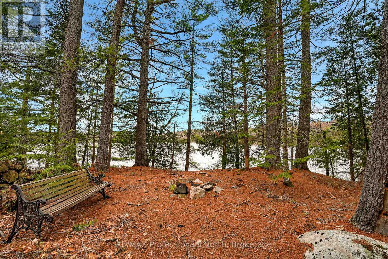 2999 Harburn Road, Dysart Et Al, Ontario  K0M 1S0 - Photo 10 - X13112808