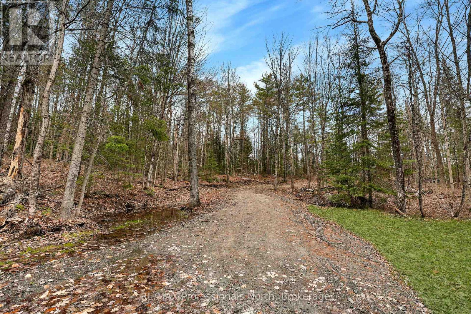 2999 Harburn Road, Dysart Et Al, Ontario  K0M 1S0 - Photo 14 - X13112808