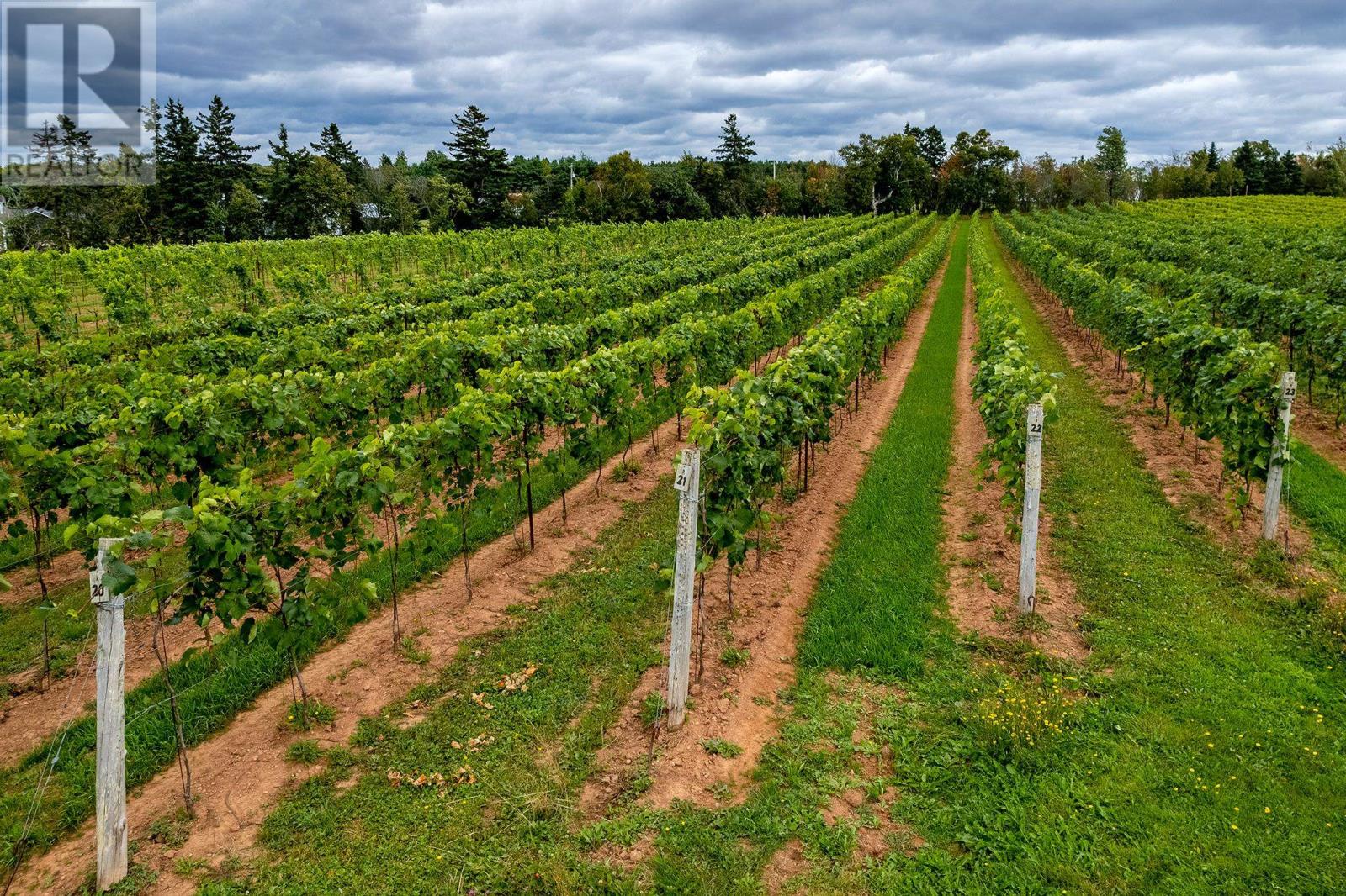 3156 West River Road, Route 9, St. Catherine's, Prince Edward Island  C0A 1H1 - Photo 19 - 202610468