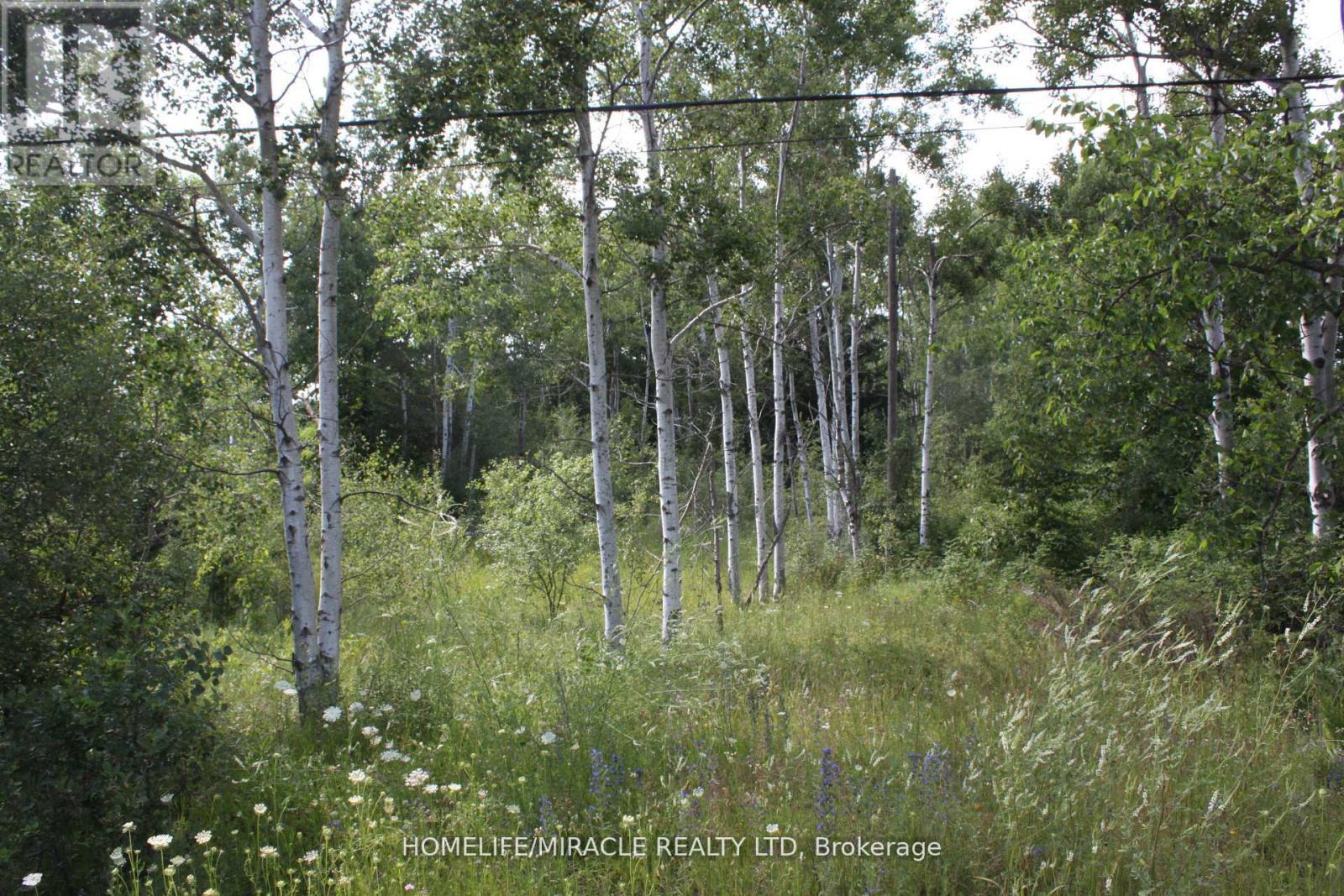 380 Highway 15 Highway, Rideau Lakes, Ontario  K7A 5B8 - Photo 1 - X13112804