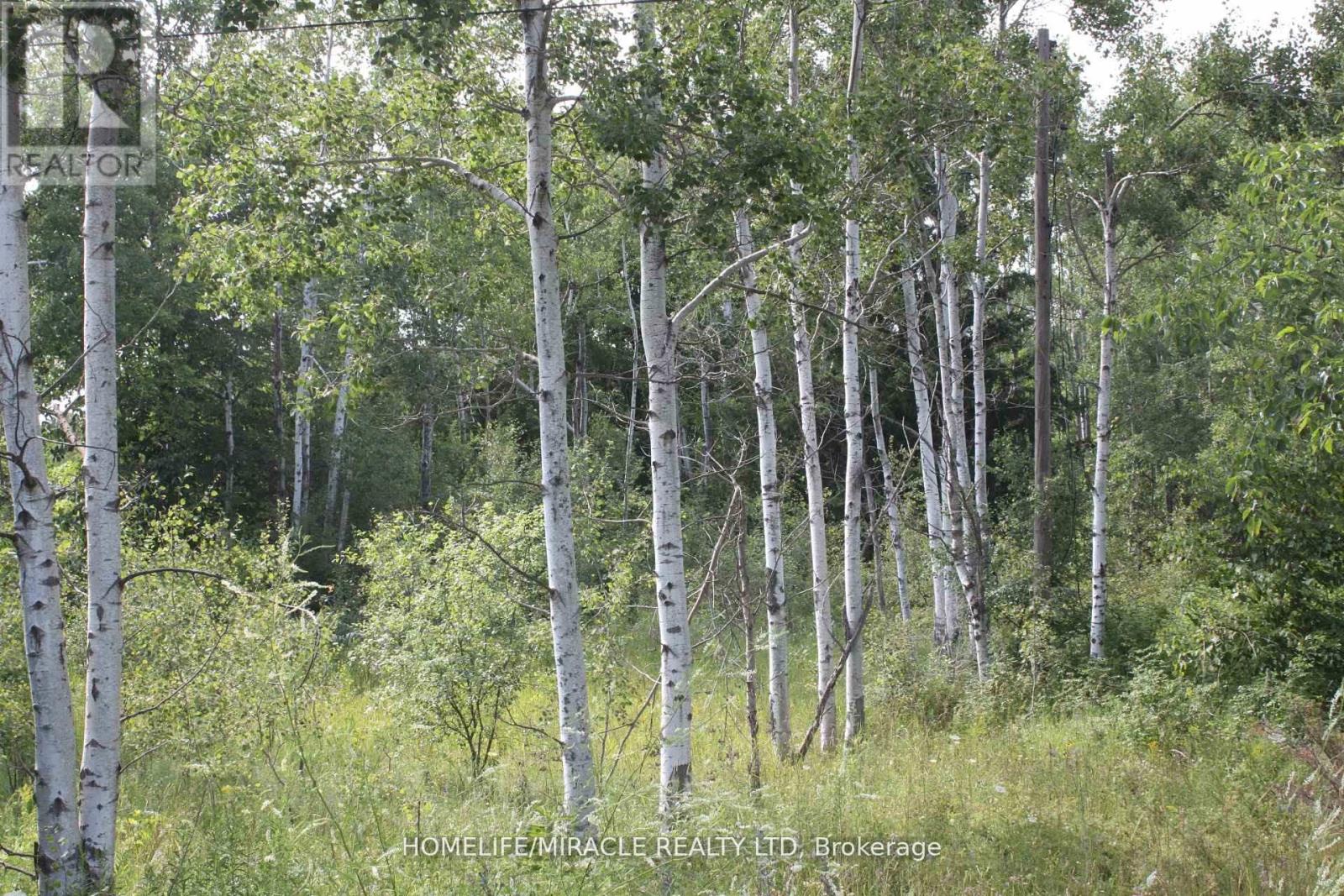 380 Highway 15 Highway, Rideau Lakes, Ontario  K7A 5B8 - Photo 3 - X13112804