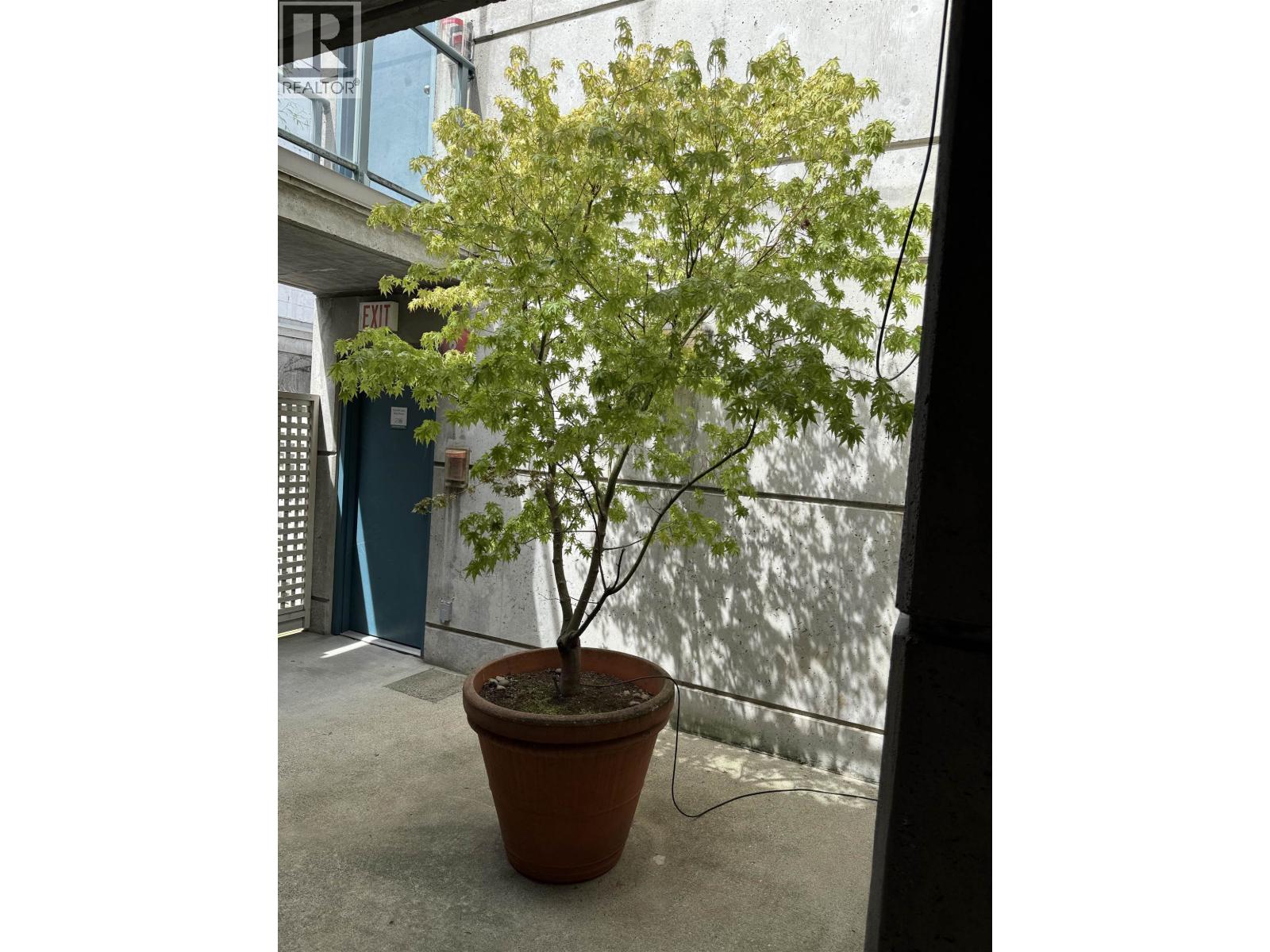 311 1630 W 1st Avenue, Vancouver, British Columbia  V6J 1G1 - Photo 6 - R3121837