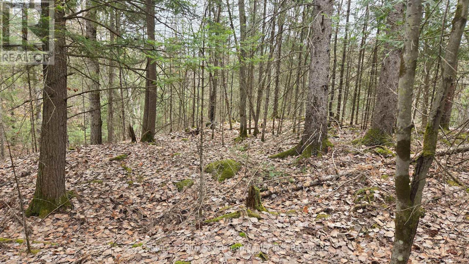149 Pine Lake Road, Bonfield, Ontario  P0H 2E0 - Photo 10 - X13113006