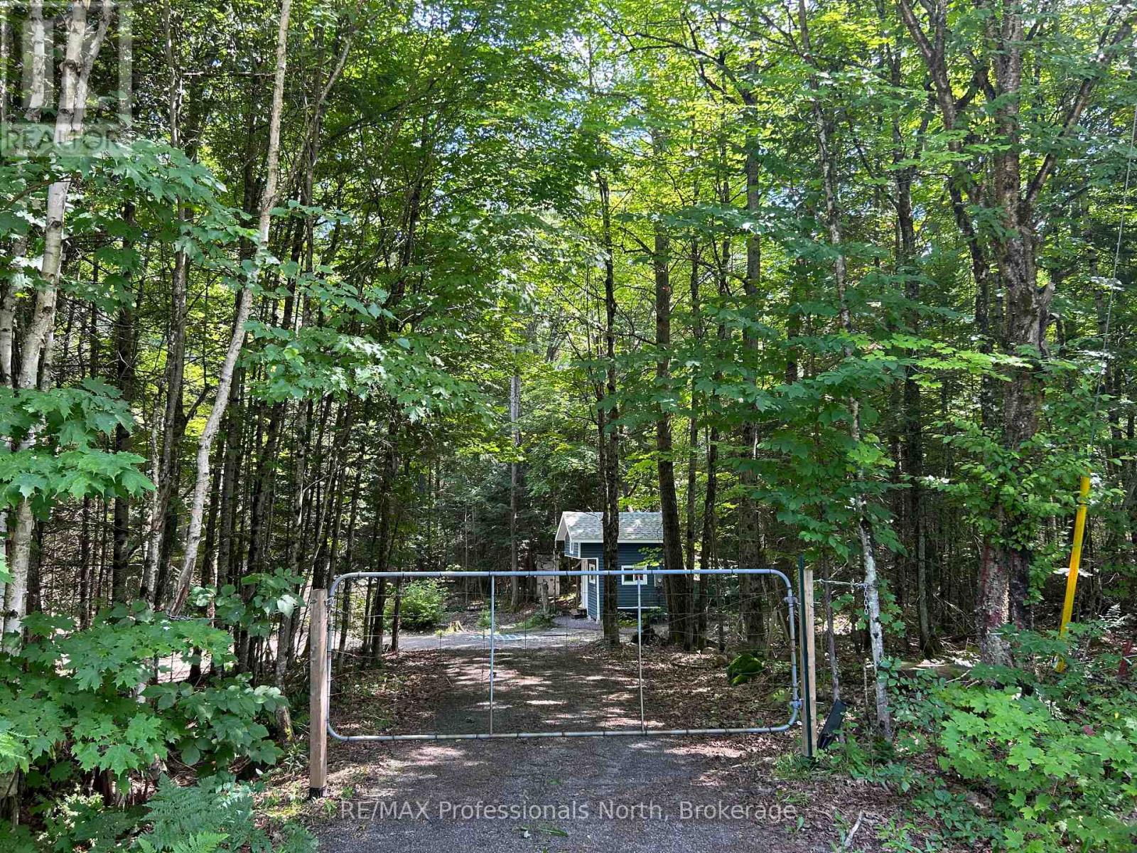 1124 Little Hawk Lake Road, Algonquin Highlands, Ontario  K0M 1S0 - Photo 3 - X12835000