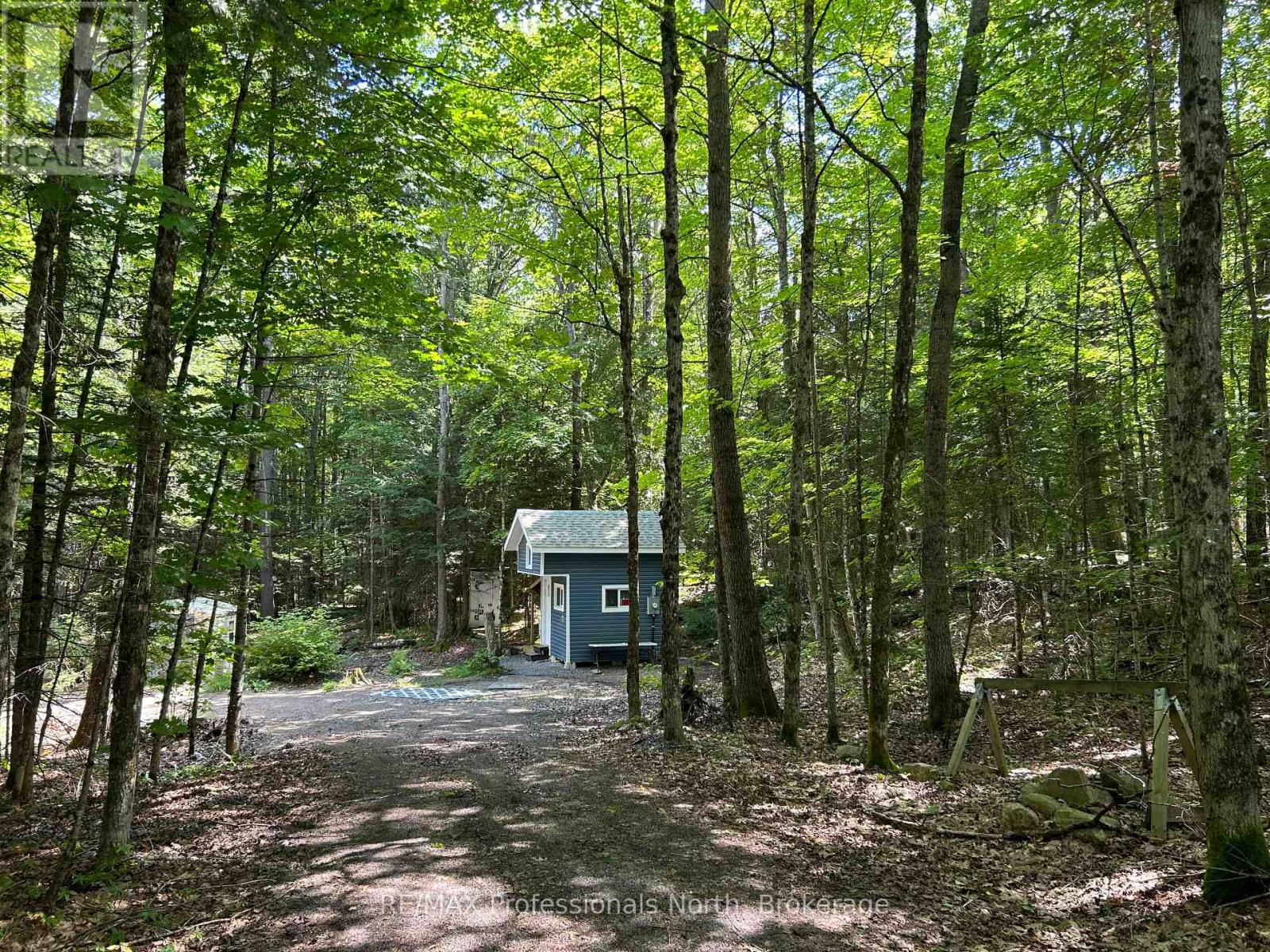 1124 Little Hawk Lake Road, Algonquin Highlands, Ontario  K0M 1S0 - Photo 6 - X12835000