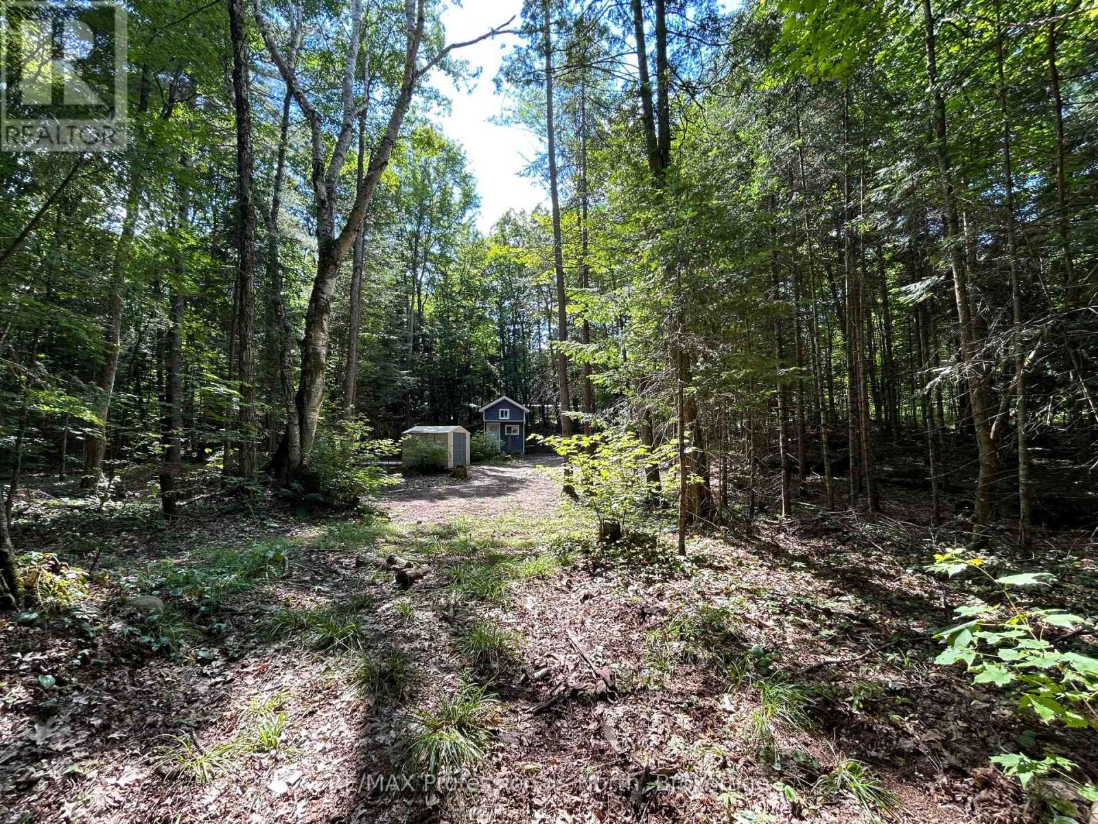 1124 Little Hawk Lake Road, Algonquin Highlands, Ontario  K0M 1S0 - Photo 4 - X12835000
