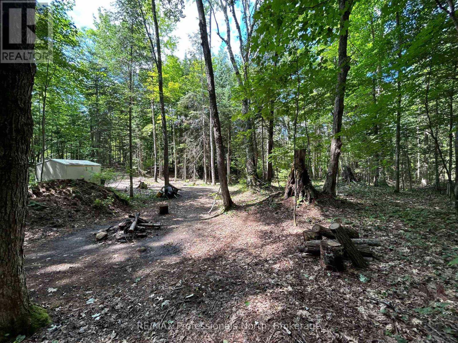 1124 Little Hawk Lake Road, Algonquin Highlands, Ontario  K0M 1S0 - Photo 8 - X12835000