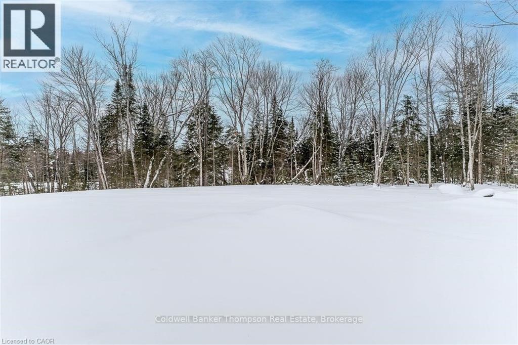 11 Glen Eagle Court, Huntsville, Ontario  P1H 1B1 - Photo 48 - 40829221
