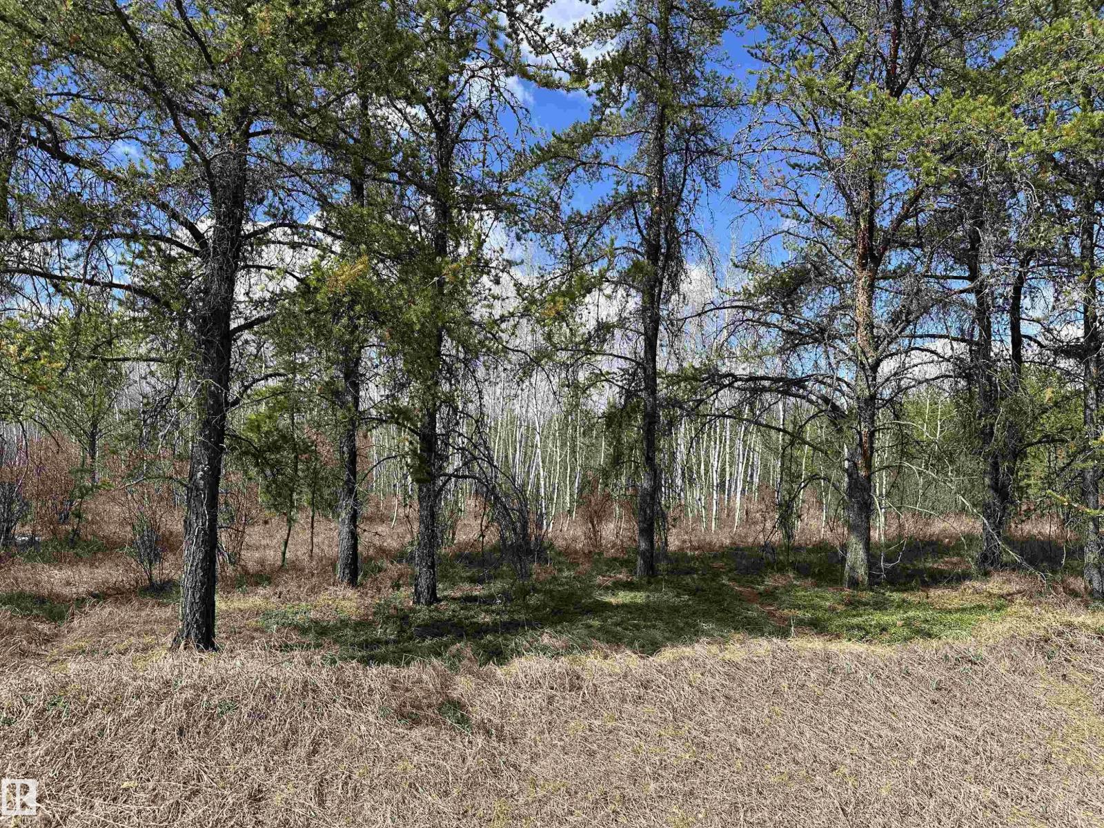 Twp 592a + Rg Rd 235a, Rural Westlock County, Alberta  T0G 2J0 - Photo 11 - E4487023