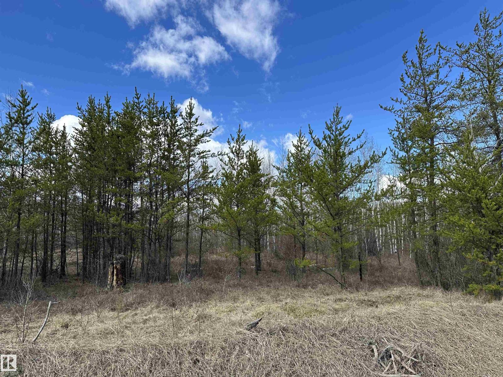 Twp 592a + Rg Rd 235a, Rural Westlock County, Alberta  T0G 2J0 - Photo 13 - E4487023