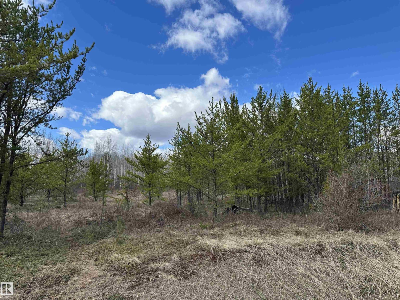 Twp 592a + Rg Rd 235a, Rural Westlock County, Alberta  T0G 2J0 - Photo 14 - E4487023