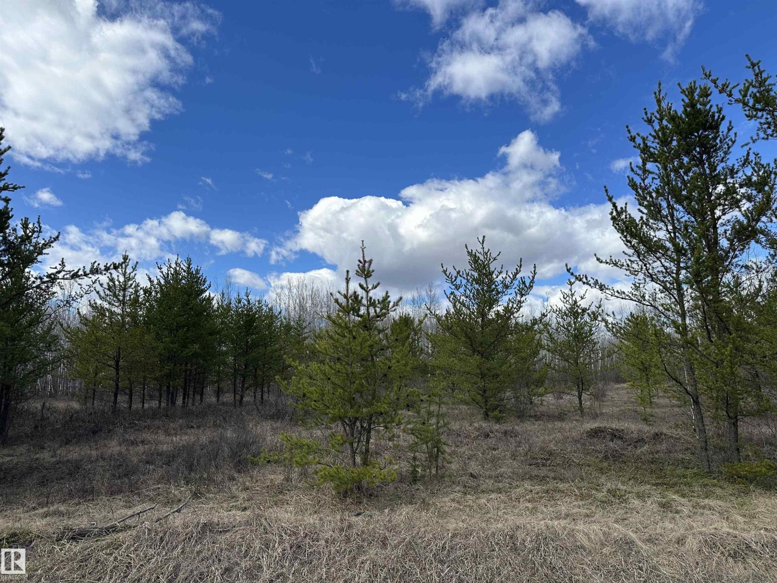 Twp 592a + Rg Rd 235a, Rural Westlock County, Alberta  T0G 2J0 - Photo 16 - E4487023