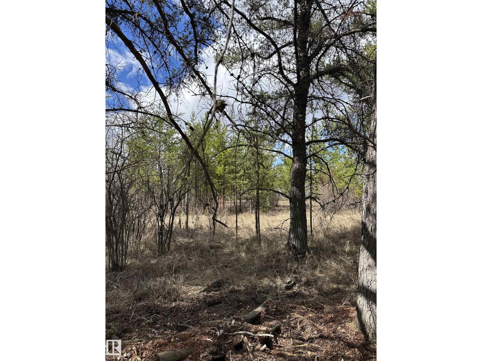 Twp 592a + Rg Rd 235a, Rural Westlock County, Alberta  T0G 2J0 - Photo 18 - E4487023