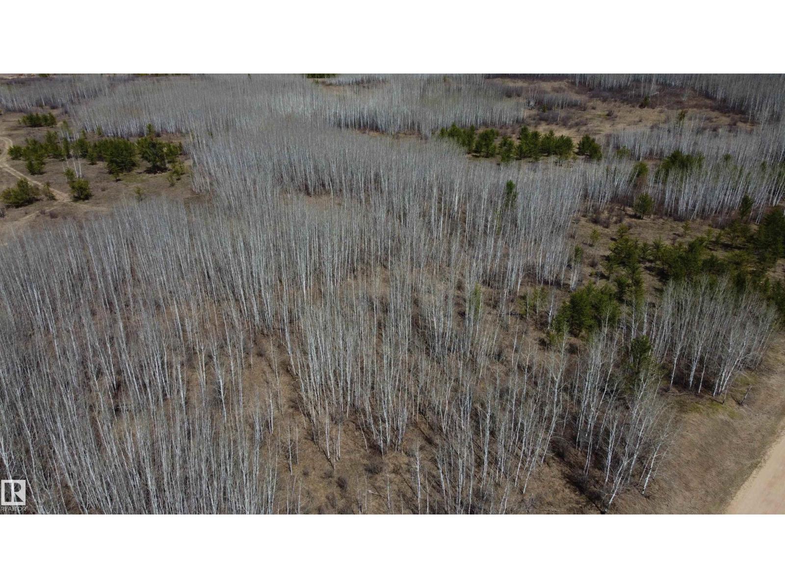 Twp 592a + Rg Rd 235a, Rural Westlock County, Alberta  T0G 2J0 - Photo 22 - E4487023