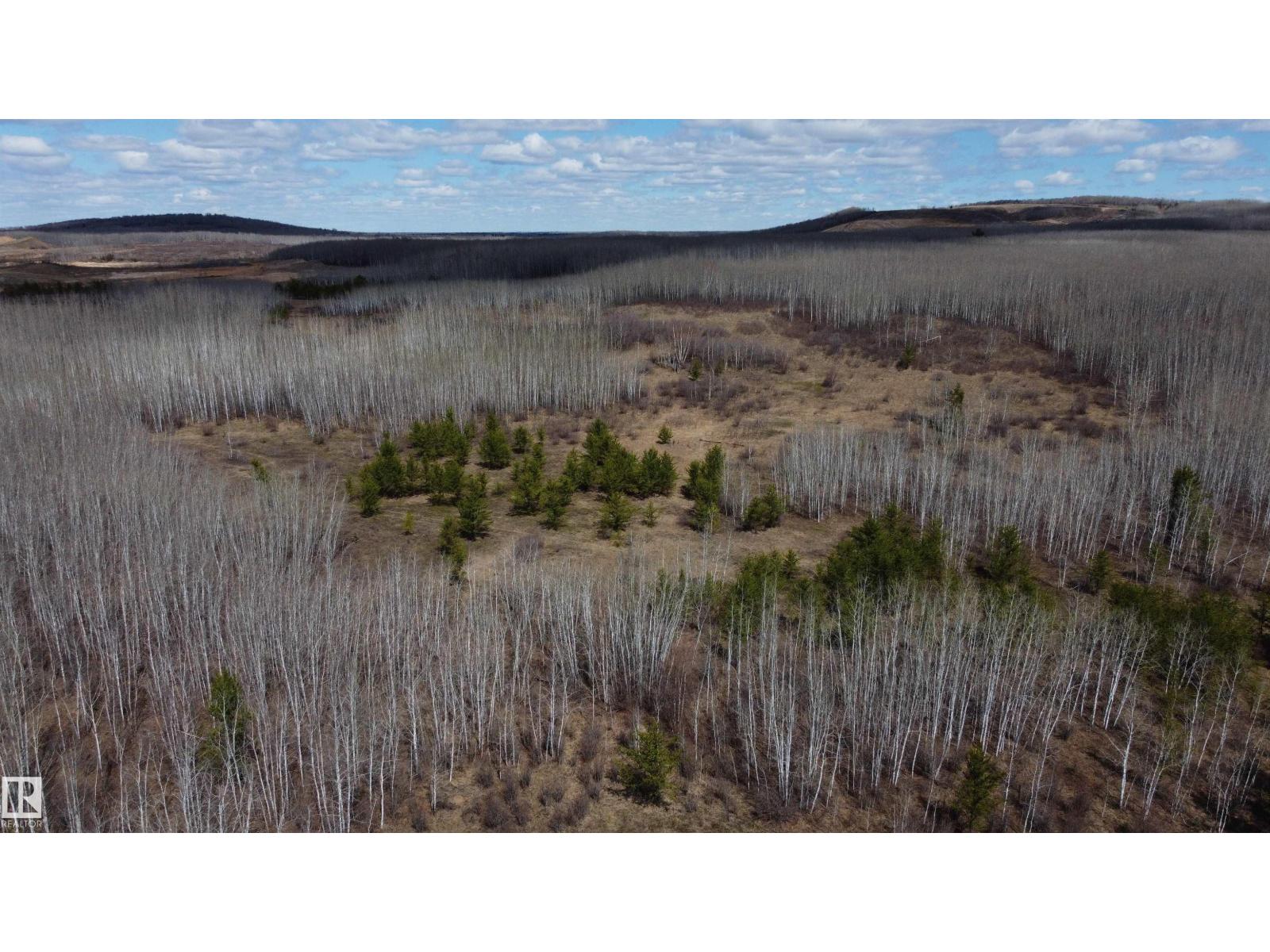 Twp 592a + Rg Rd 235a, Rural Westlock County, Alberta  T0G 2J0 - Photo 23 - E4487023