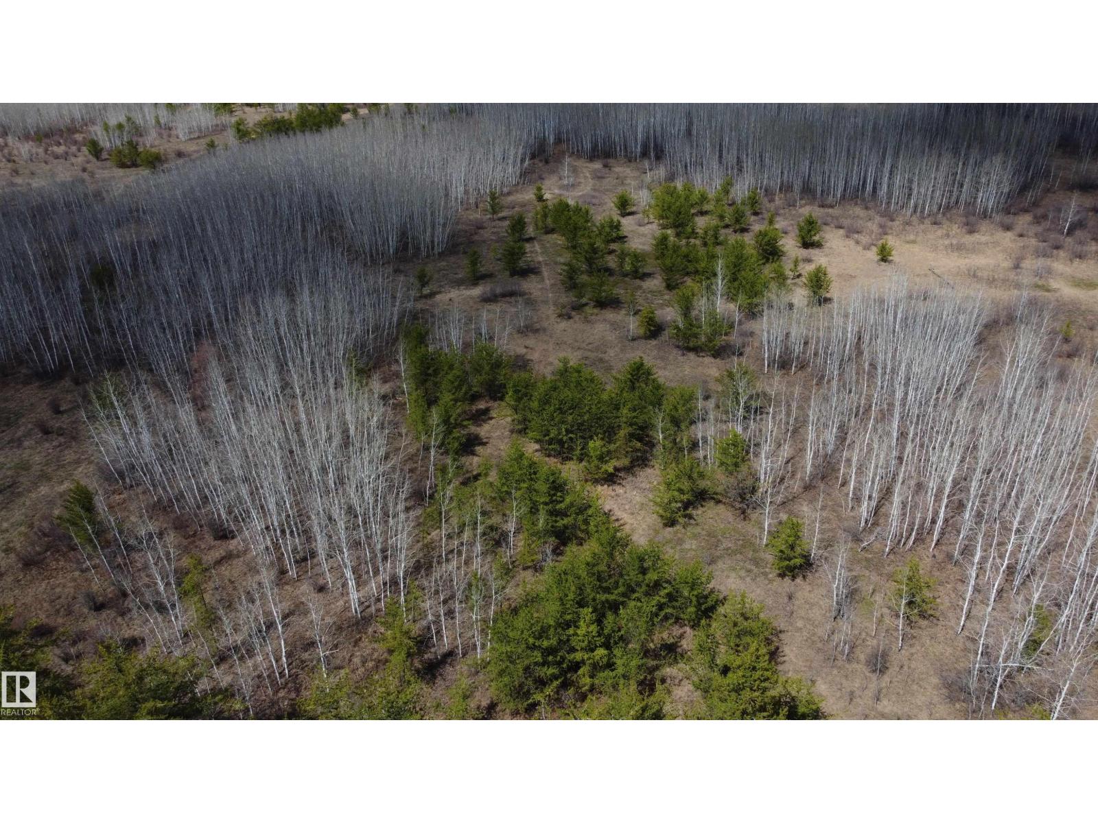 Twp 592a + Rg Rd 235a, Rural Westlock County, Alberta  T0G 2J0 - Photo 26 - E4487023