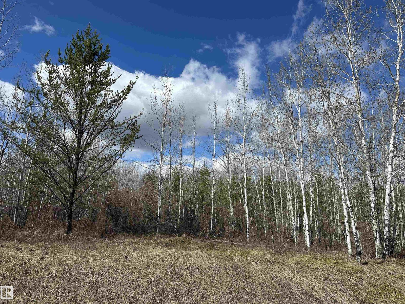 Twp 592a + Rg Rd 235a, Rural Westlock County, Alberta  T0G 2J0 - Photo 4 - E4487023