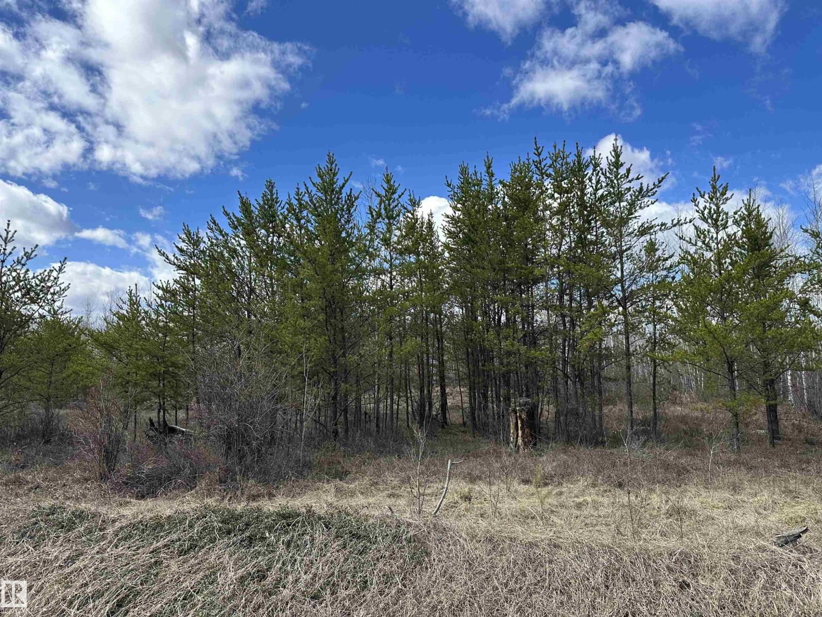 Twp 592a + Rg Rd 235a, Rural Westlock County, Alberta  T0G 2J0 - Photo 6 - E4487023