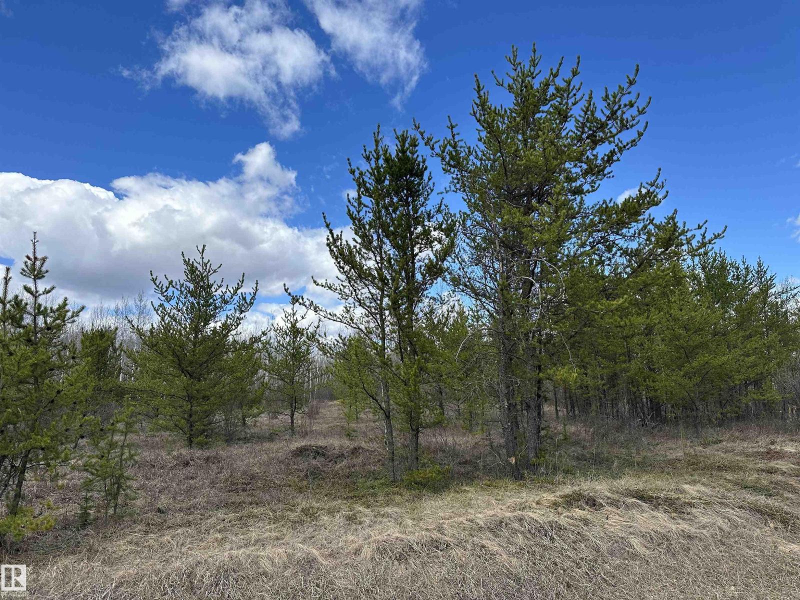 Twp 592a + Rg Rd 235a, Rural Westlock County, Alberta  T0G 2J0 - Photo 7 - E4487023