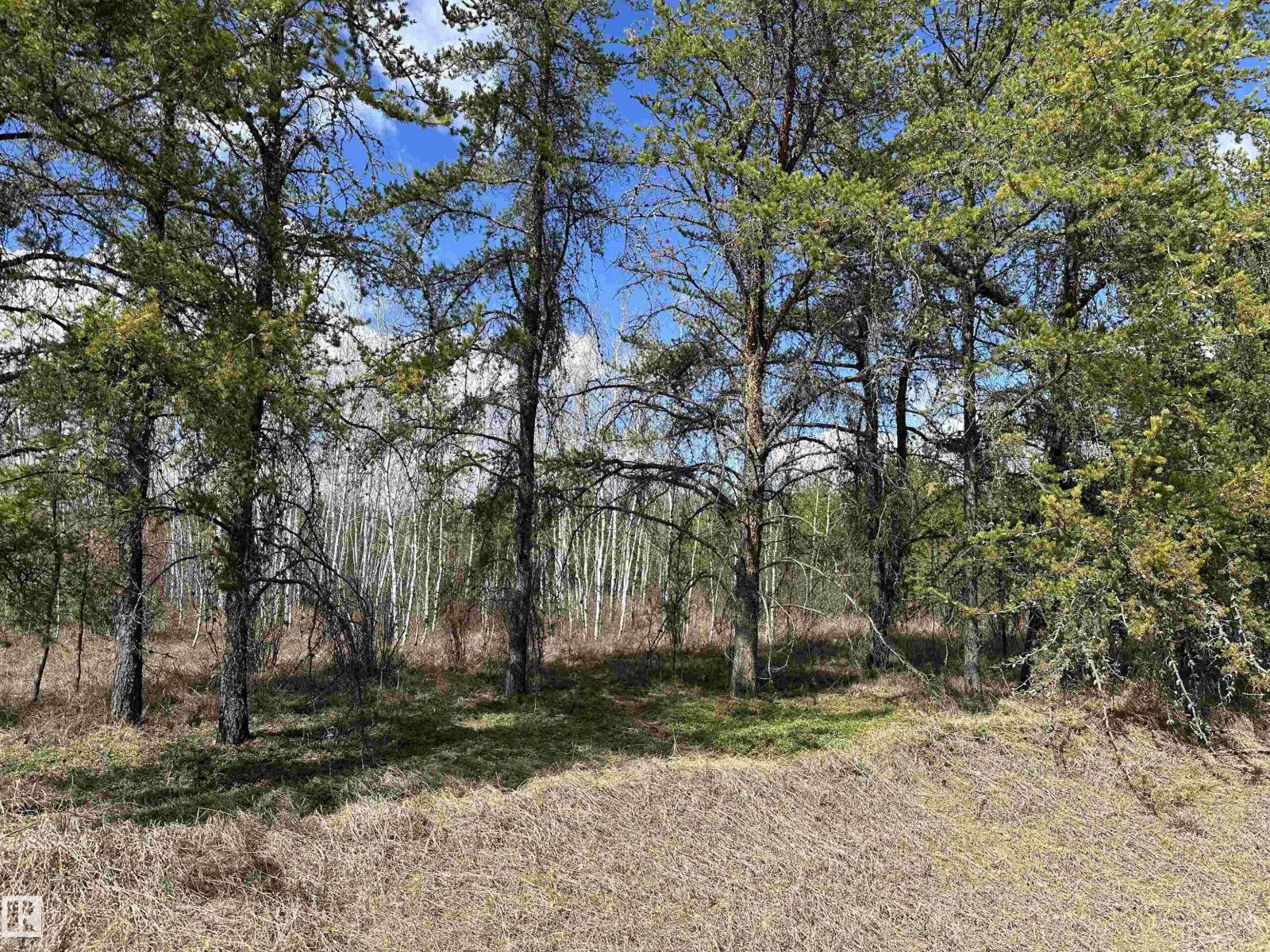 Twp 592a + Rg Rd 235a, Rural Westlock County, Alberta  T0G 2J0 - Photo 9 - E4487023