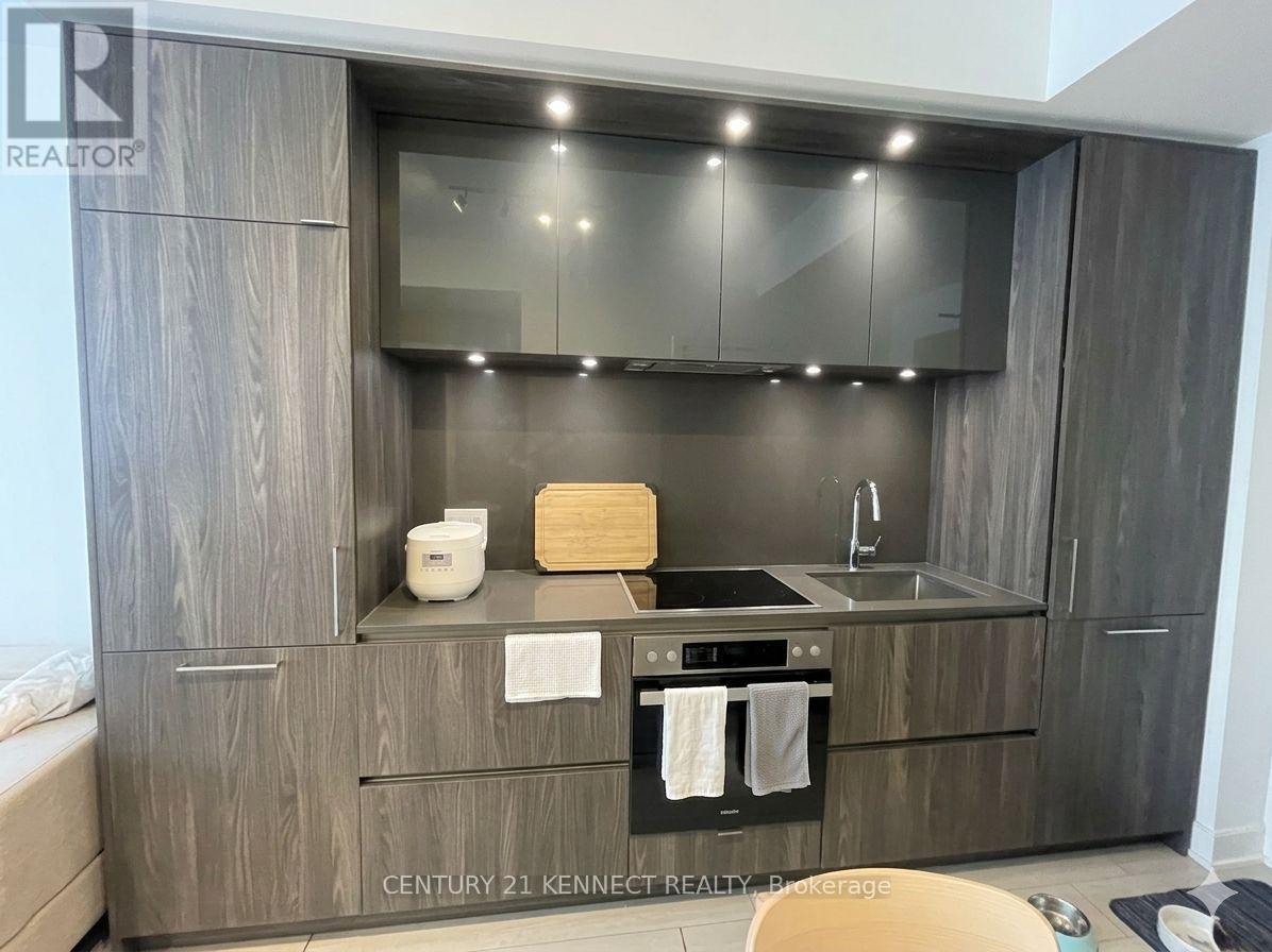 1603 - 15 Mercer Street, Toronto, Ontario  M5V 0T8 - Photo 4 - C13110904