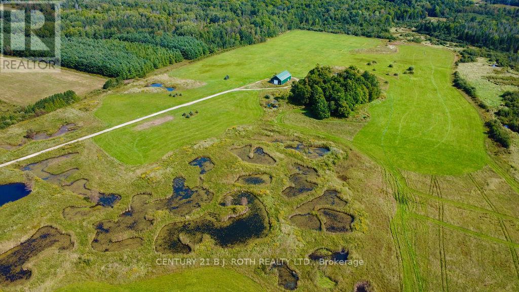 253 Craig Side Road, Oro-Medonte (Moonstone), Ontario  L0L 1V0 - Photo 28 - S13113028