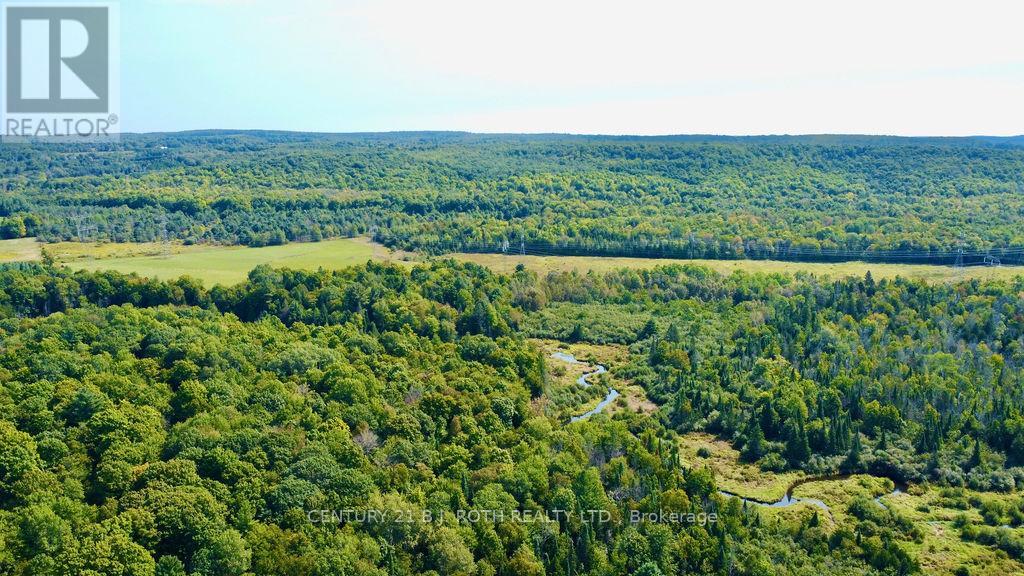 253 Craig Side Road, Oro-Medonte (Moonstone), Ontario  L0L 1V0 - Photo 33 - S13113028