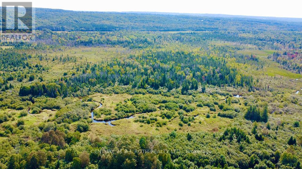 253 Craig Side Road, Oro-Medonte (Moonstone), Ontario L0L 1V0 - Photo 15 - S13113304