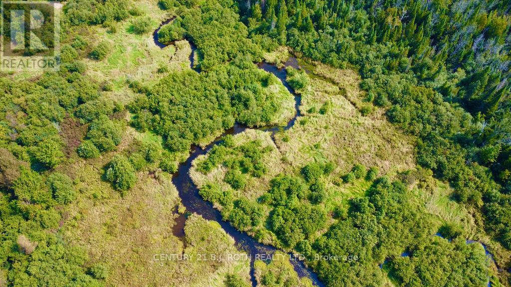 253 Craig Side Road, Oro-Medonte (Moonstone), Ontario L0L 1V0 - Photo 24 - S13113304