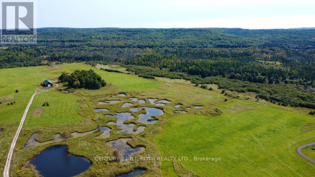 253 Craig Side Road, Oro-Medonte (Moonstone), Ontario L0L 1V0 - Photo 29 - S13113304