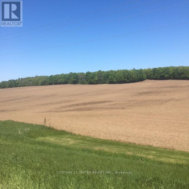 3151 County Rd 2, Otonabee-South Monaghan, Ontario  K0L 2G0 - Photo 6 - X13113314